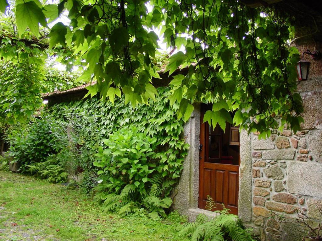 Quinta Da Picaria Bed & Breakfast Santo Tirso Eksteriør bilde
