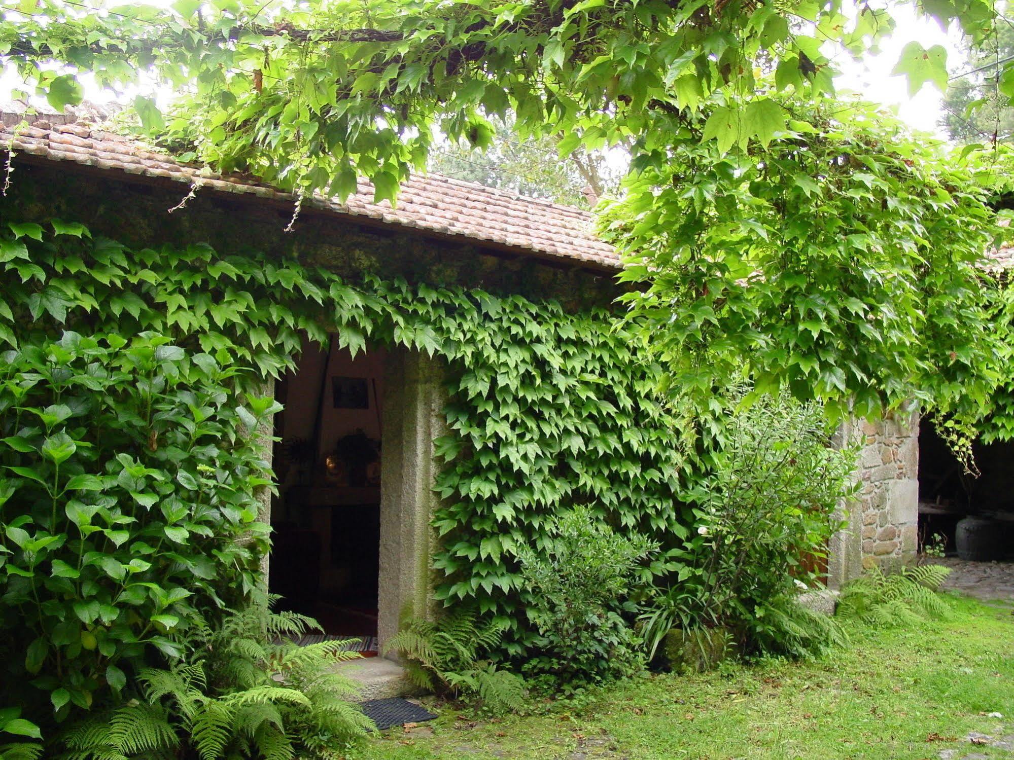 Quinta Da Picaria Bed & Breakfast Santo Tirso Eksteriør bilde